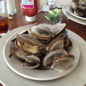 steamers8